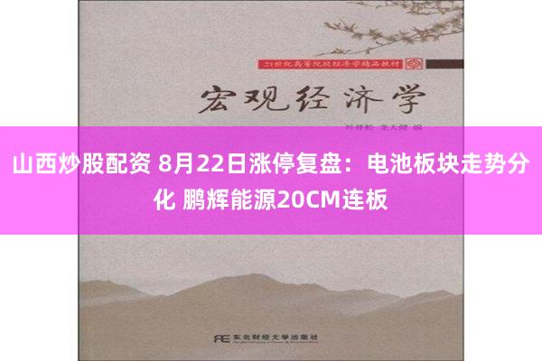 山西炒股配资 8月22日涨停复盘：电池板块走势分化 鹏辉能源20CM连板