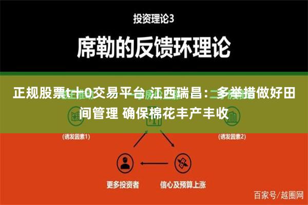 正规股票t十0交易平台 江西瑞昌：多举措做好田间管理 确保棉花丰产丰收