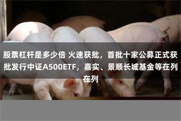 股票杠杆是多少倍 火速获批，首批十家公募正式获批发行中证A500ETF，嘉实、景顺长城基金等在列