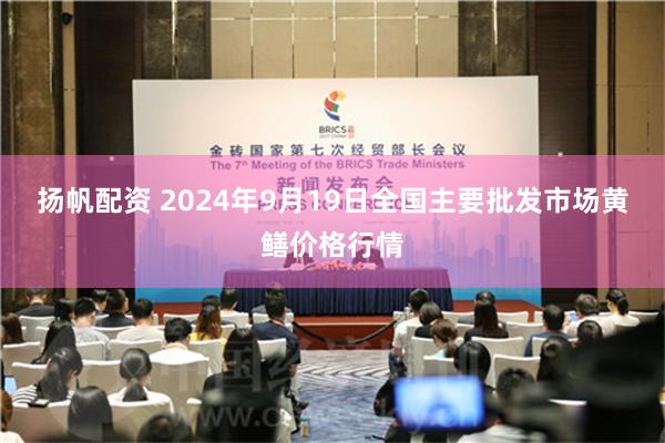 扬帆配资 2024年9月19日全国主要批发市场黄鳝价格行情