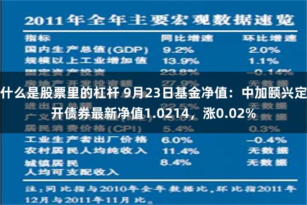 什么是股票里的杠杆 9月23日基金净值：中加颐兴定开债券最新净值1.0214，涨0.02%