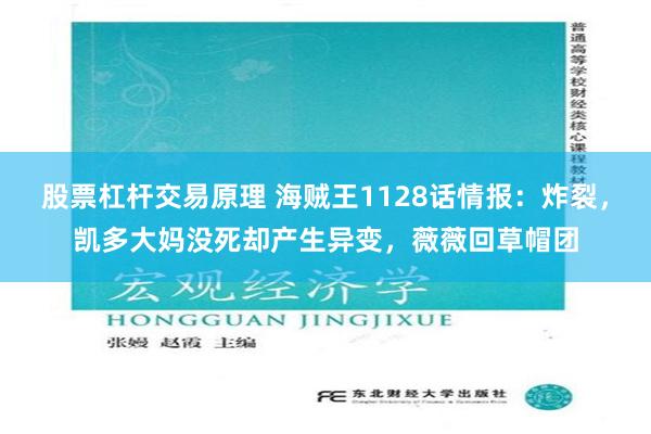 股票杠杆交易原理 海贼王1128话情报：炸裂，凯多大妈没死却产生异变，薇薇回草帽团