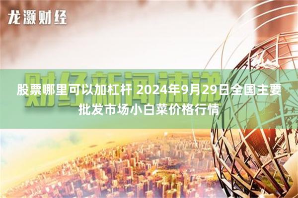 股票哪里可以加杠杆 2024年9月29日全国主要批发市场小白菜价格行情