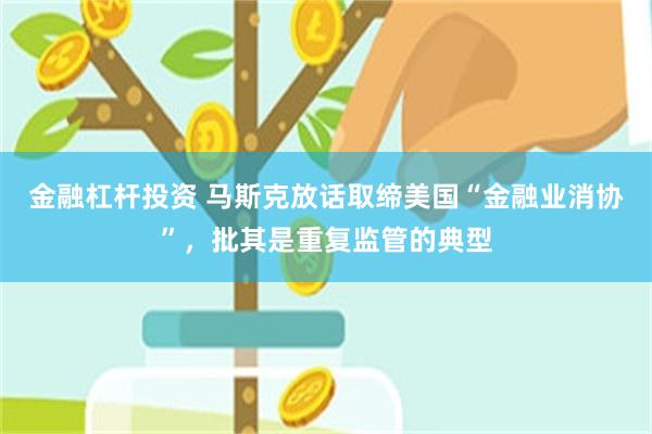 金融杠杆投资 马斯克放话取缔美国“金融业消协”，批其是重复监管的典型