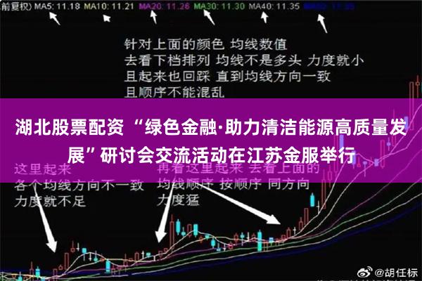 湖北股票配资 “绿色金融·助力清洁能源高质量发展”研讨会交流活动在江苏金服举行