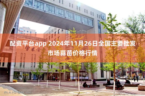 配资平台app 2024年11月26日全国主要批发市场蒜苗价格行情