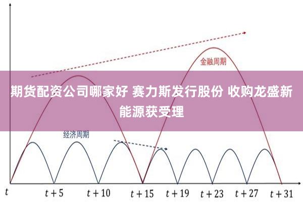 期货配资公司哪家好 赛力斯发行股份 收购龙盛新能源获受理