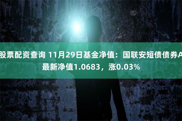 股票配资查询 11月29日基金净值：国联安短债债券A最新净值1.0683，涨0.03%