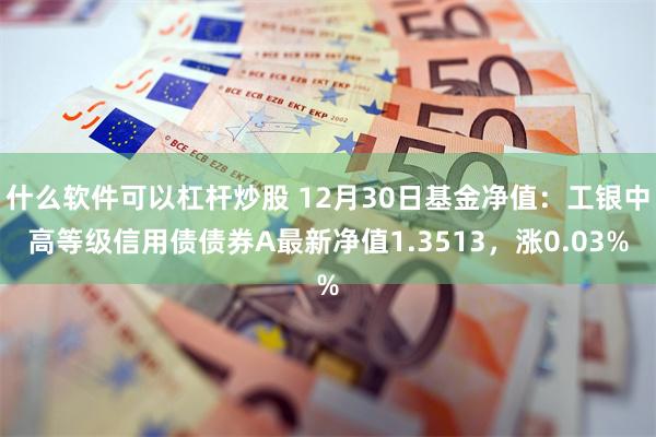 什么软件可以杠杆炒股 12月30日基金净值：工银中高等级信用债债券A最新净值1.3513，涨0.03%