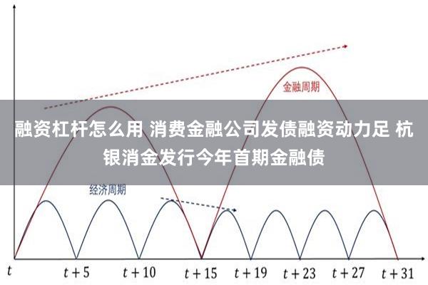 融资杠杆怎么用 消费金融公司发债融资动力足 杭银消金发行今年首期金融债