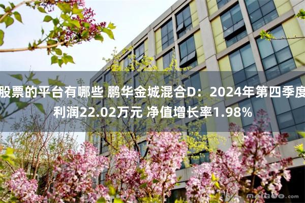 股票的平台有哪些 鹏华金城混合D：2024年第四季度利润22.02万元 净值增长率1.98%