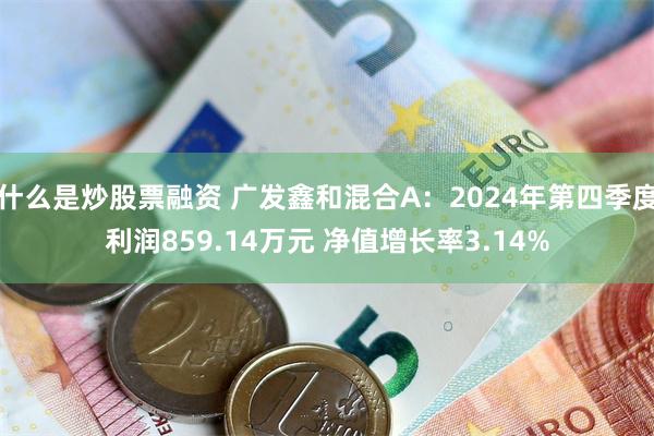 什么是炒股票融资 广发鑫和混合A：2024年第四季度利润859.14万元 净值增长率3.14%